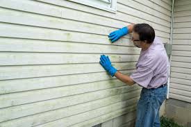 Best Vinyl Siding Installation  in Ossun, LA